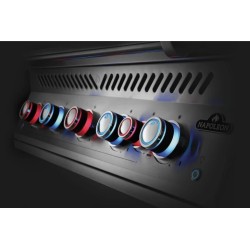 Napoleon Big 38 Series 700 Built-In Gas Grill with 5 Burners and 1 Infrared Rear