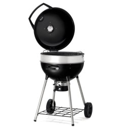Parrilla de carbón Napoleon PRO22