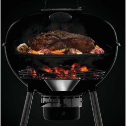 Napoleon Holzkohlegrill PRO22