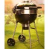Parrilla de carbón Napoleon PRO22