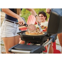 Napoleon TravelQ PRO285X Gasgrill mit Klappwagen