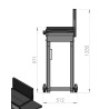 Plancha a Gas su Carrello Originale DUO 260 Le Marquier