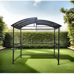 Abri de Barbecue Dallas, 2.6x 1.50m en aluminium gris anthracite