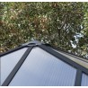 Ledro 3X3 Cenador de jardín cerrado Estructura de aluminio gris y paneles transparentes