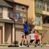 Cestello da Basket Lifetime
