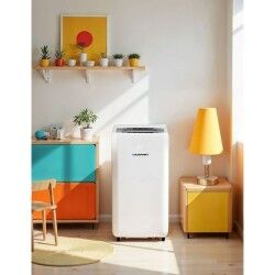 Ar Condicionado Portátil Blaupunkt AGDBLFAN014