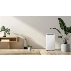 Ar Condicionado Portátil Blaupunkt AGDBLFAN014