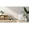 Ar Condicionado Portátil Blaupunkt AGDBLFAN014