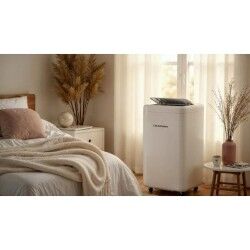 Aire Acondicionado Portátil Blaupunkt AGDBLFAN013