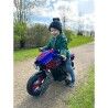 Andarilho com rodas Huffy 17345W