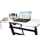 Market carpets Walkstation desk WTD200 Evocardio