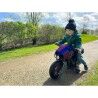 Gehhilfe auf Rädern Huffy 17345W