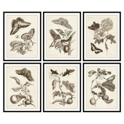 Quadro DKD Home Decor Cristallo Legno MDF 50 x 2,5 x 65 cm