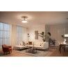 Deckenventilator mit Lampe Philips Atlas 35 W 28 W 4500 Lm Nickel (2700 K)