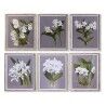Pintura DKD Home Decor Cristal Abeto 50 x 60 x 2,8 cm 50 x 2,8 x 60 cm