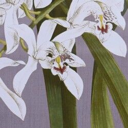 Pintura DKD Home Decor Cristal Abeto 50 x 60 x 2,8 cm 50 x 2,8 x 60 cm