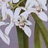 Pintura DKD Home Decor Cristal Abeto 50 x 60 x 2,8 cm 50 x 2,8 x 60 cm