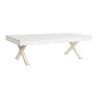 Centre Table DKD Home Decor 140 x 70 x 42 cm Metal Mango wood