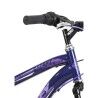 Corta-relva BOSCH UniversalRotak 37-555 40 L 1400 W 230 V 37 cm 20-70 mm