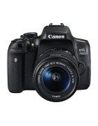 SLR cameras